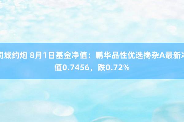 同城约炮 8月1日基金净值：鹏华品性优选搀杂A最新净值0.7456，跌0.72%