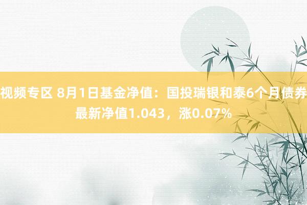 视频专区 8月1日基金净值：国投瑞银和泰6个月债券最新净值1.043，涨0.07%