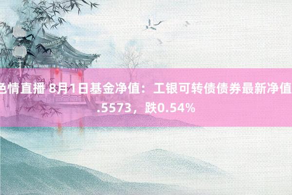 色情直播 8月1日基金净值：工银可转债债券最新净值1.5573，跌0.54%