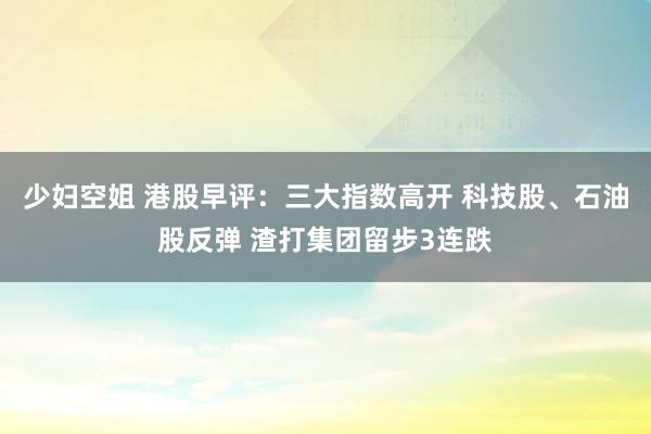 少妇空姐 港股早评：三大指数高开 科技股、石油股反弹 渣打集团留步3连跌