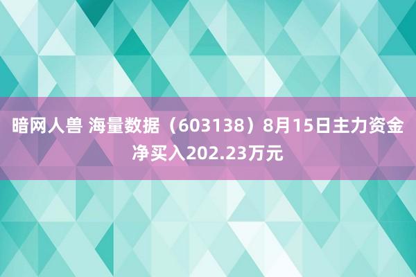 暗网人兽 海量数据（603138）8月15日主力资金净买入202.23万元