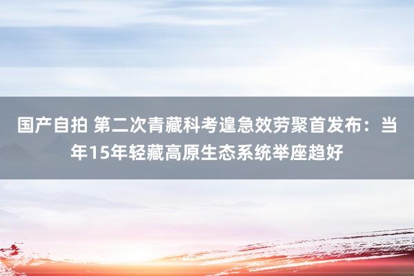 国产自拍 第二次青藏科考遑急效劳聚首发布：当年15年轻藏高原生态系统举座趋好