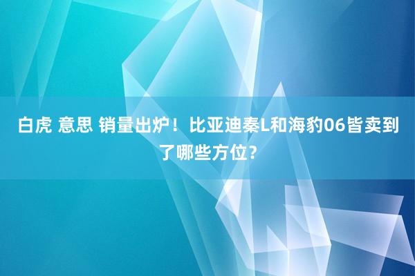 白虎 意思 销量出炉！比亚迪秦L和海豹06皆卖到了哪些方位？