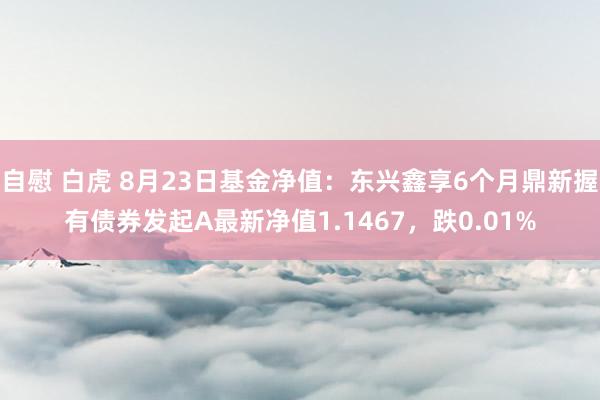 自慰 白虎 8月23日基金净值：东兴鑫享6个月鼎新握有债券发起A最新净值1.1467，跌0.01%