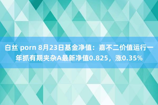 白丝 porn 8月23日基金净值：嘉不二价值运行一年抓有期夹杂A最新净值0.825，涨0.35%